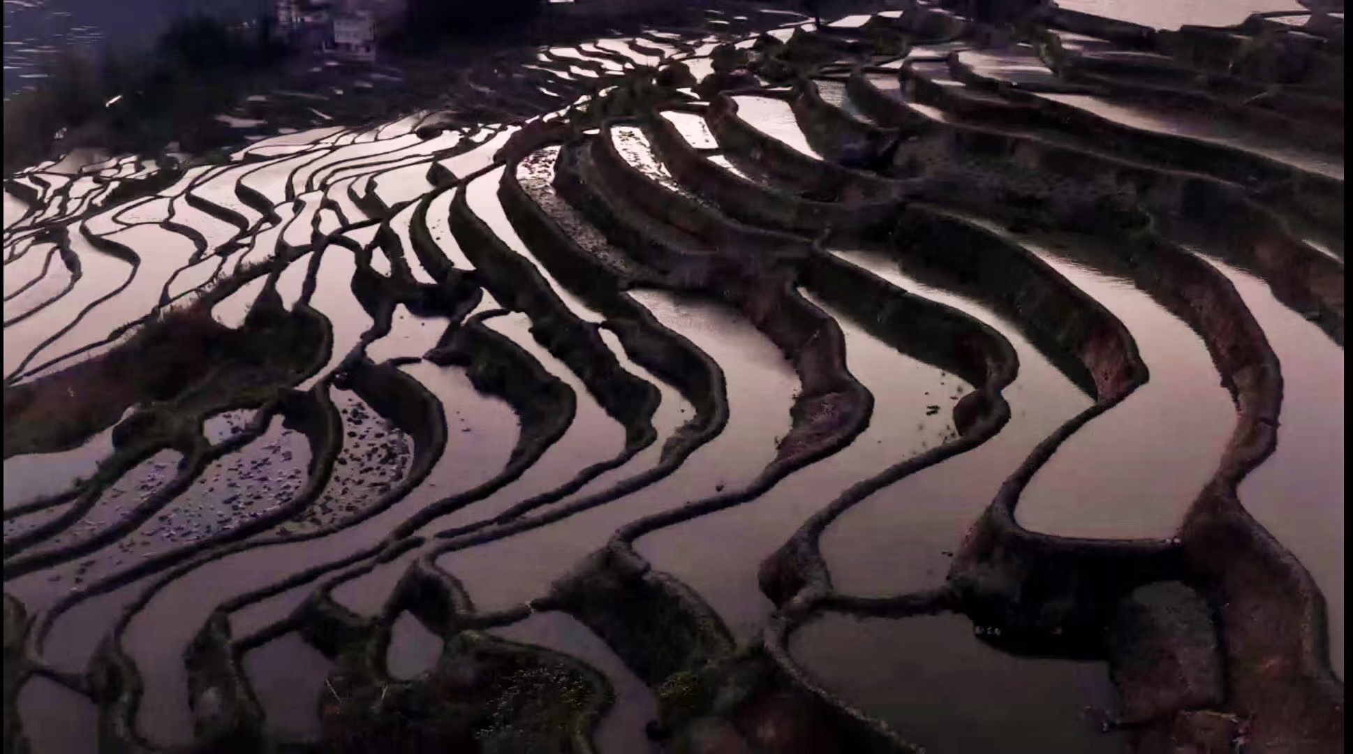 航拍中国第三季项目资料中的云南梯田画面